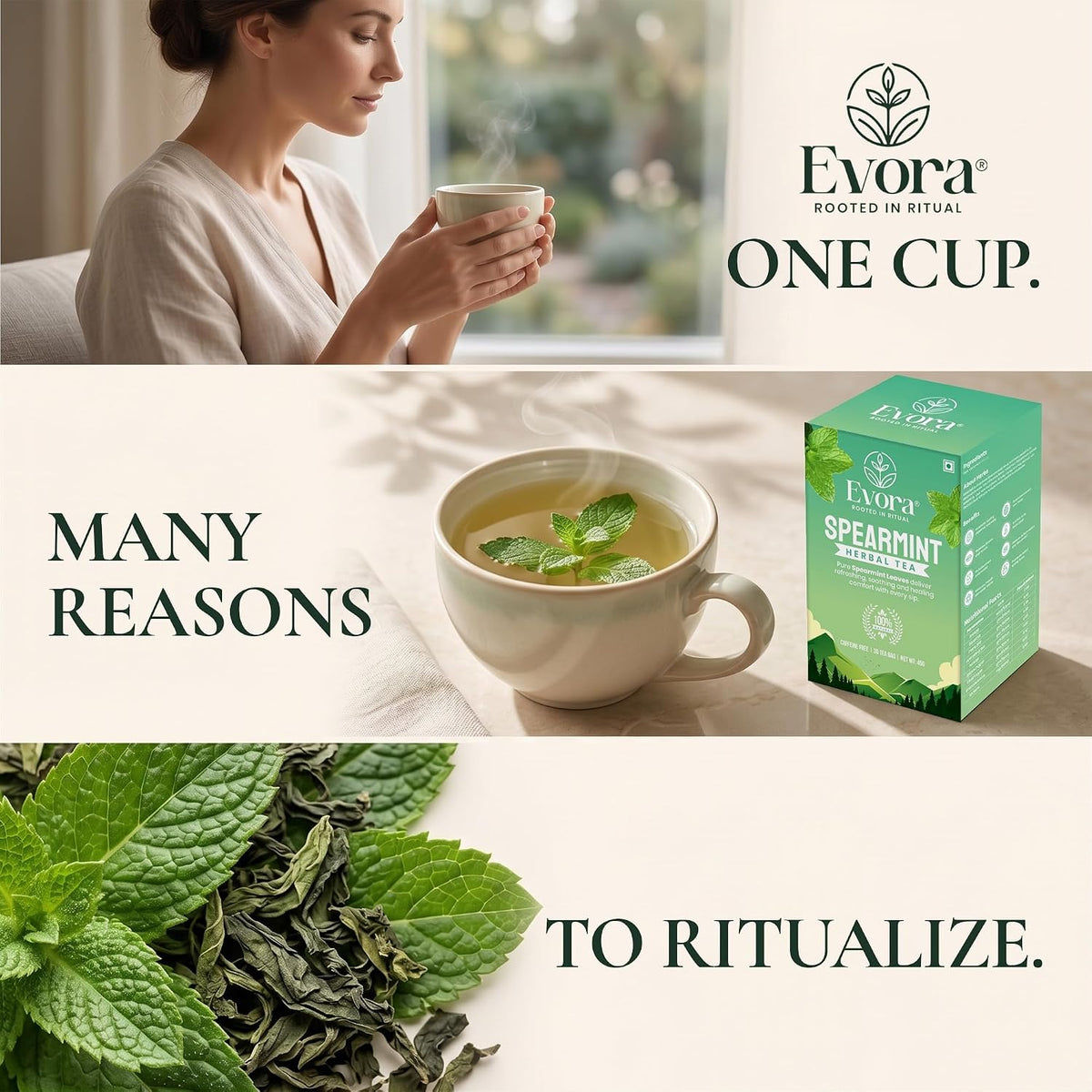 EVORA Spearmint Tea - 30 Double Chamber Bags of Dried Spearmint Tea Leaves