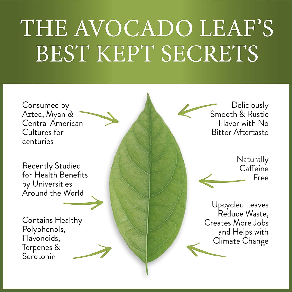 Avocado Leaf Tea Sampler Set | 4 Sachets - 8 Full Flavored Cups | Caffeine Free | Cold Brew or Hot Tea | Healthy Tea | Gift Tea Set | Immune Booster | Assorted Teas