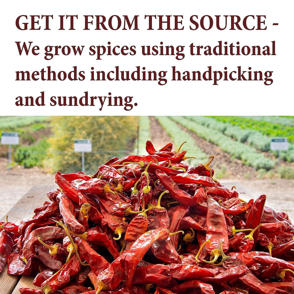 The Spice Way Lavender Flowers 2 oz Culinary Grade Buds for Tea and Cooking