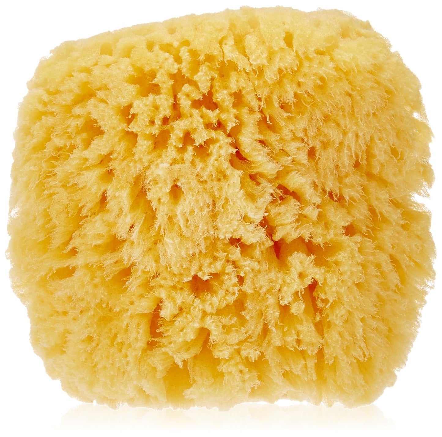 Spa Sisters Natural Sea Sponge, 1 EA