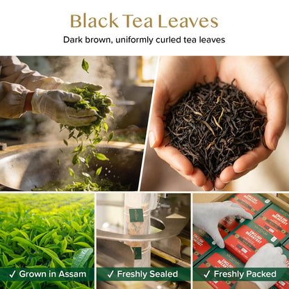VAHDAM English Breakfast Tea Bags (100 Count) Black Tea in Pyramid Tea Bags