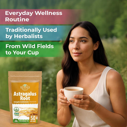 WILDFIELD HERBS 50 Bags Astragalus Root Herbal Tea – 50 Tea Bags 1.5g Astragalus Root Huang Qi