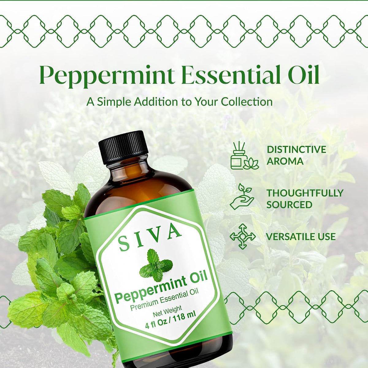 Siva Lavender Essential Oil, Huge Bottle, Large Size, 16 Fl Oz (473 ml)