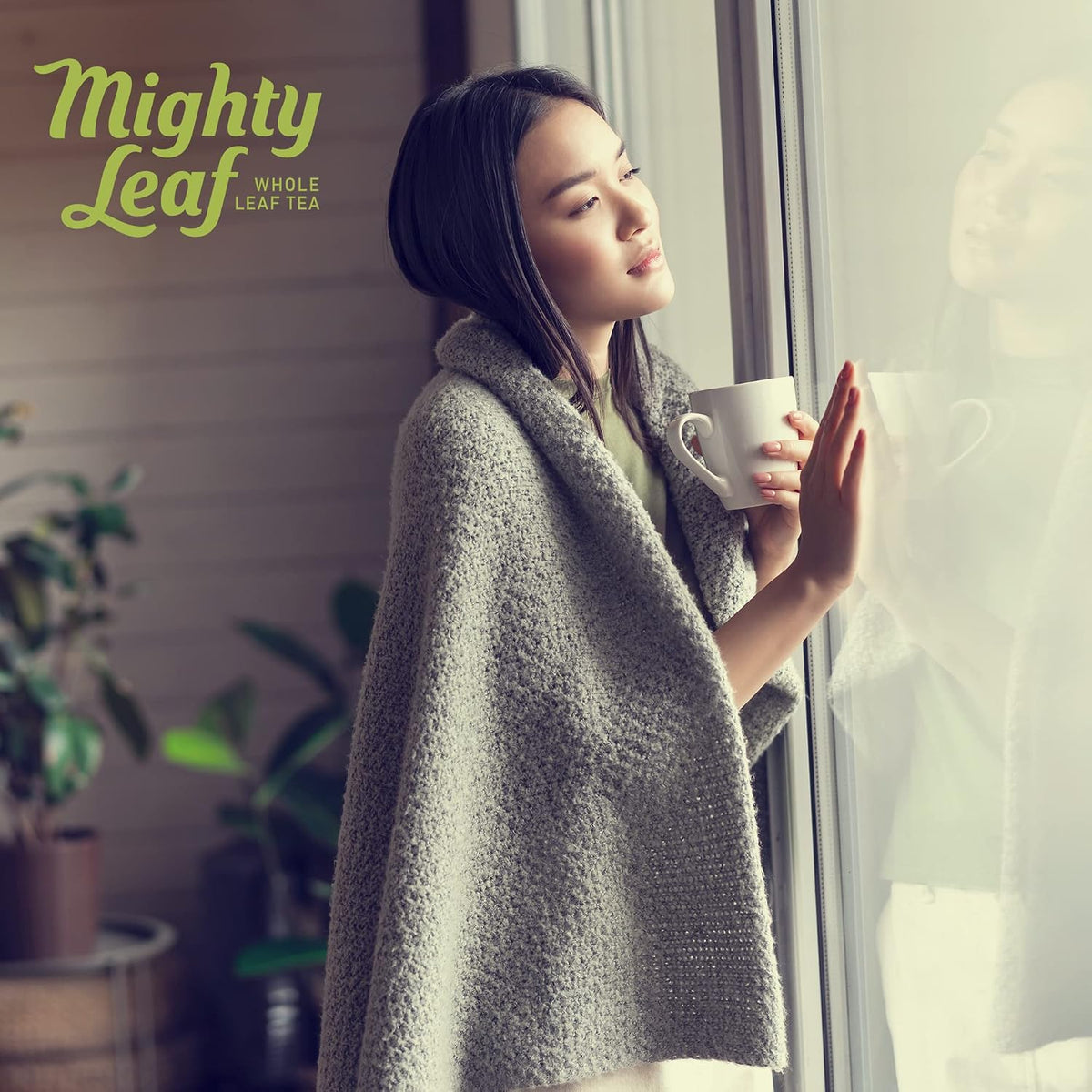 Mighty Leaf Spring Jasmine Green Tea - Premium - Foil Wrapped for Freshn - 100 Count Tea Pouches - Premium Green Tea with Rich Flavor - Individually Wrapped Tea Bags