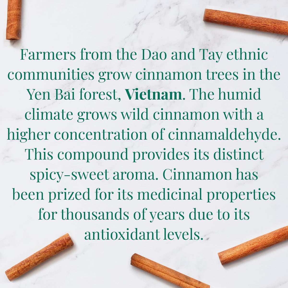 The Republic of Tea SuperHerb Organic Vietnamese Cinnamon Herbal Tea, 36 Ct