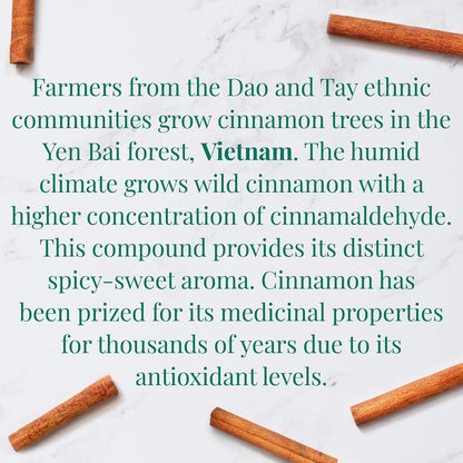 The Republic of Tea SuperHerb Organic Vietnamese Cinnamon Herbal Tea, 36 Ct