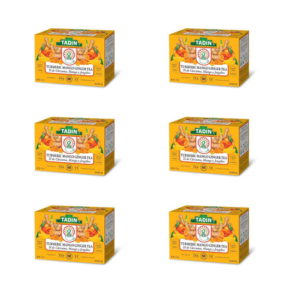 Tadin Turmeric Mango Ginger Tea, Contains Caffeine, Best as Hot Tea, Contains Black Tea, 24 Tea Bags Per Box, Pack of 6