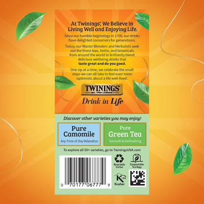 Twinings Pure Peppermint Herbal Caffeine-Free Tea Bags, 20 CT Box (1 Pack)