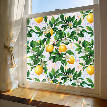 Frosted Glass Window Film, Decorative Sun Heat Blocking,Anti UV Save Energy