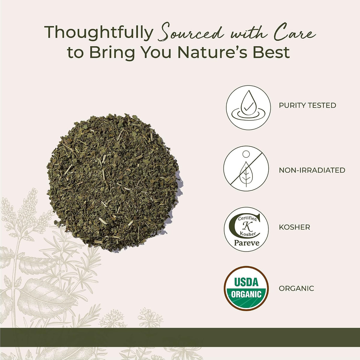 Starwest Botanicals Organic Nettle Leaf, Caffeine Free - Bulk 1 lb Bag