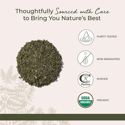 Starwest Botanicals Organic Nettle Leaf, Caffeine Free - Bulk 1 lb Bag