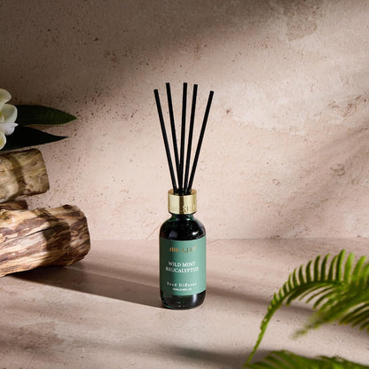 Airkeep Reed Diffuser Oil Set with Reed Sticks,Citrus Aromatherapy Oil Scent Diffuser for Home Office Bathroom Decoration Perfume and Gifts 3.38oz/100ml