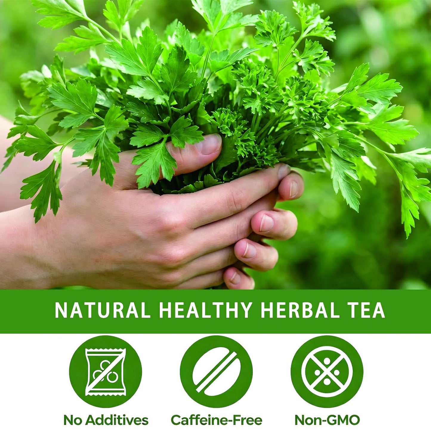 Samcci - Milk Thistle Tea Bags, 50 Teabags, 3g/bag - 100% Natural Milk Thistle Seeds Support Liver Herbal Tea, Caffeine Free - No Additives - No Sugar - Non-GMO - No Gluten