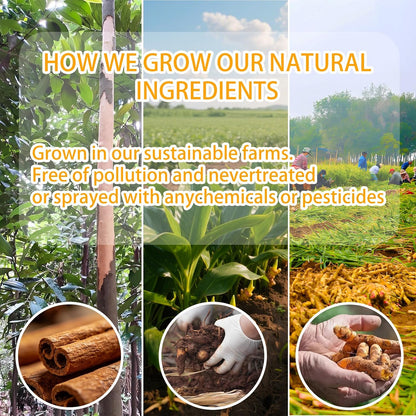 Turmeric Ginger Cinnamon Tea Bags - 100% Natural Anti-Inflammatory Herbal Blend, 120 Count Caffeine Free Vegan Wellness Tea for Digestive Health & Immune Support - Warm Spicy Comfort in Every Cup