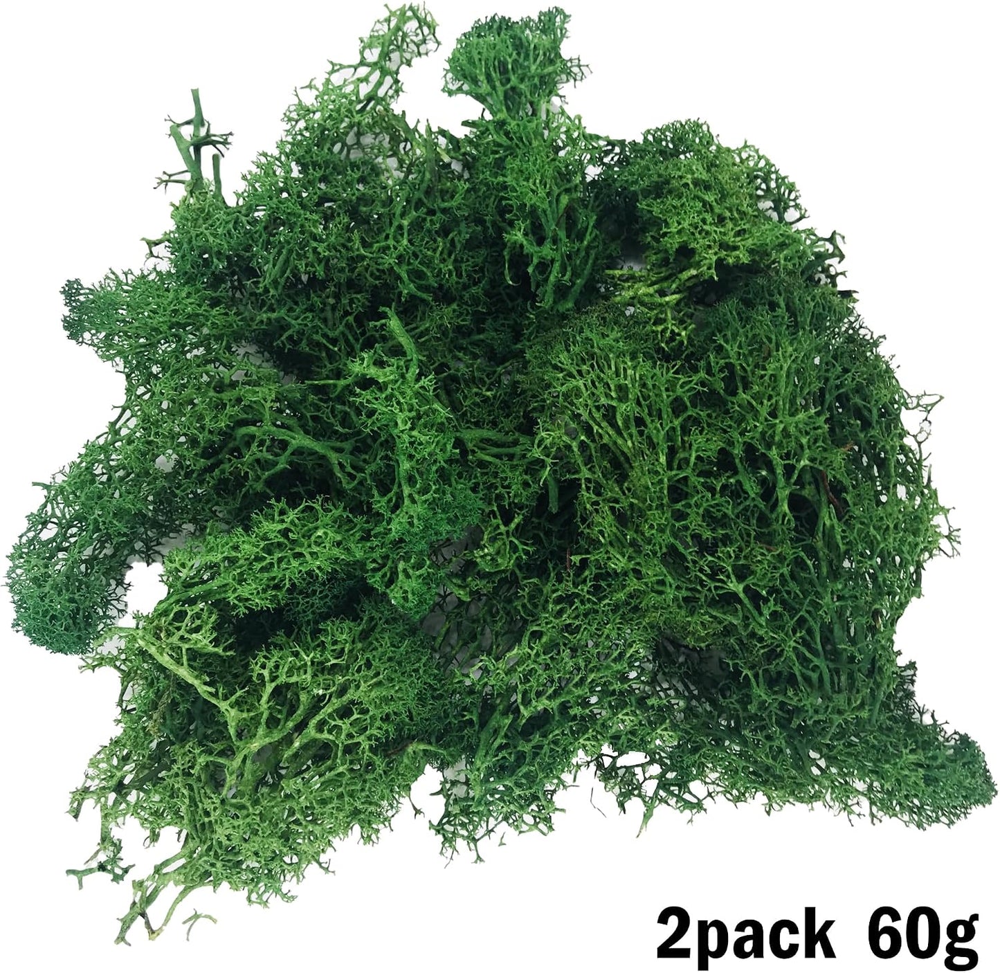 Cayway 26 PCS Outdoor Fairy Garden Miniatures Mini Zen Garden Accessories, Artificial Grass, Model Trees, Terrarium Ornaments, Dollhouse Supplies, Bonsai Decorative Craft Tools Kit