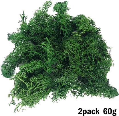 Cayway 26 PCS Outdoor Fairy Garden Miniatures Mini Zen Garden Accessories, Artificial Grass, Model Trees, Terrarium Ornaments, Dollhouse Supplies, Bonsai Decorative Craft Tools Kit