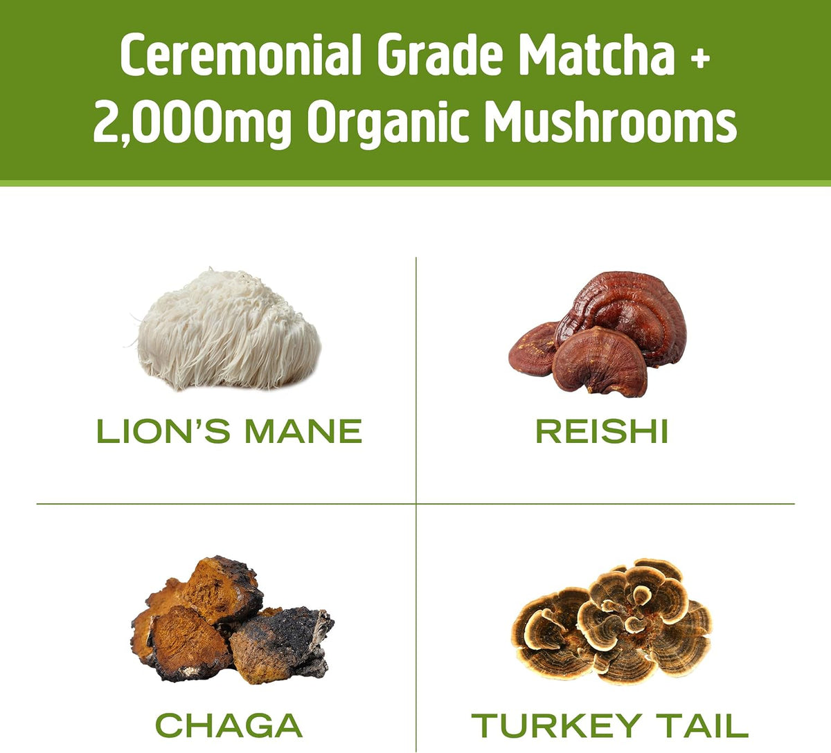 OM MUSHROOM SUPERFOOD Matcha Latte Blend – Green Tea Mushroom Powder with Lion’s Mane, Reishi, Chaga & Turkey Tail – Focus, Calm & Stress Support – 8.47 oz Canister (30 Servings)