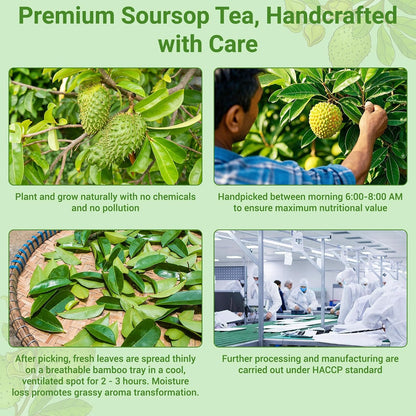 Loose Leaf Tea Sampler, 5 Natural Assorted Tea Gift Set For Tea Lovers