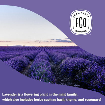 FGO Organic Dried Lavender Flowers, Extra Grade Dried Buds, Imported from France for Culinary or Sachet Bags, 4oz, Packaging May Vary (Pack of 1)