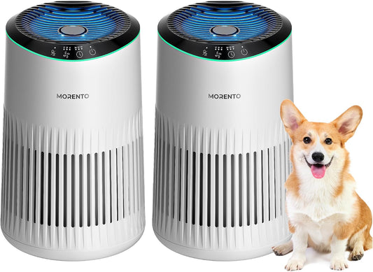 Air Purifiers for Bedroom Home for Smoke Pet Dander Odors 2 Pack Ivory