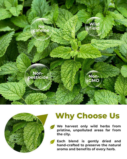 100 Bags Dried Lemon Balm Herb Lemon Balm Tea (Melissa Officinalis) - 100 Count 1.5g Bags Toronjil
