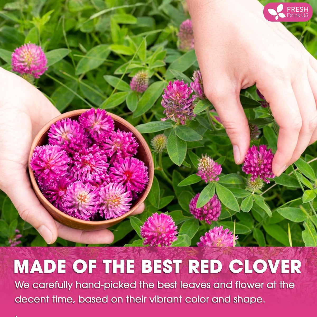 FreshDrinkUS, Premium Red Clover Herbal Tea – 135 Bags – Pure – Naturally Smooth & Mild Flavor – Eco-Conscious Packaging. Caffeine-Free. Gluten Free. Vegan.