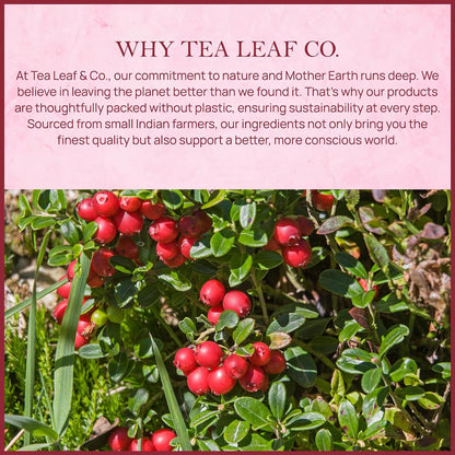 Cranberry Orange Black Tea 100gm, Natural Herbal Infusion, 50 Tea Bags