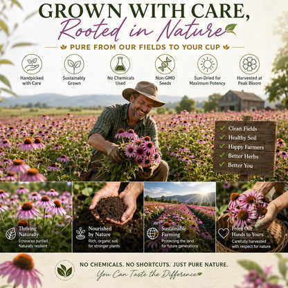 WOTIHA Dried Echinacea Herb 136g (4.8 oz), Echinacea purpurea Loose Leaves for Herbal Tea