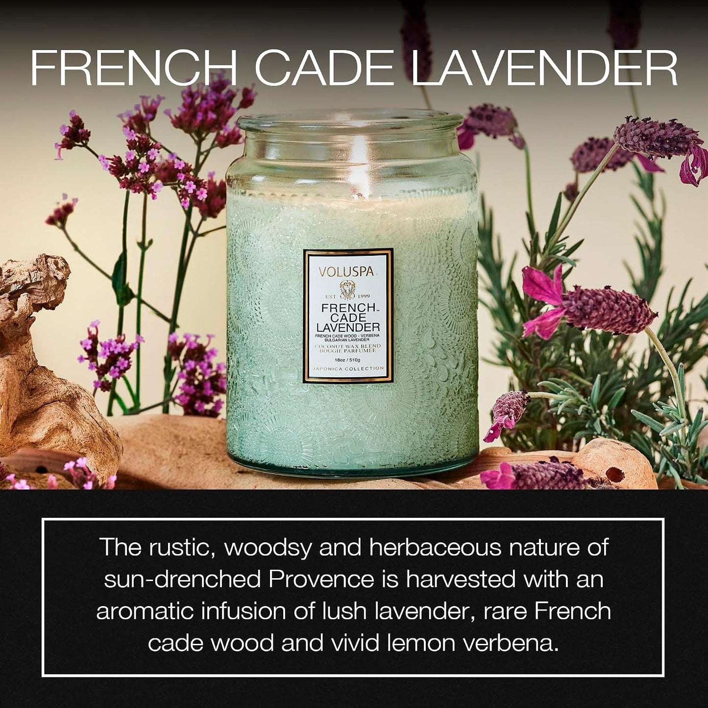 Voluspa Baltic Amber Candle, 18 oz, Coconut Wax Blend, Scented Candles for Home, 100 Hour Burn Time, Candle Jar