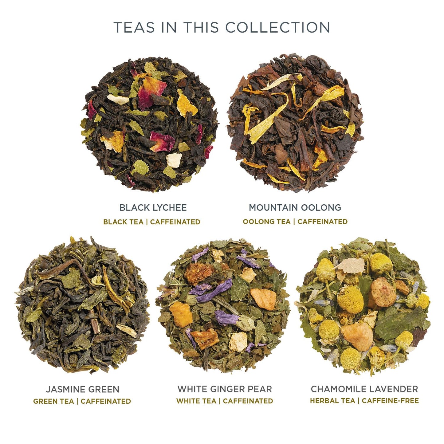 Tea Forte Single Steeps Loose Leaf Tea Sampler, Assorted Variety Tea Box, 15 Single Serve Pouches, World of Teas Tea