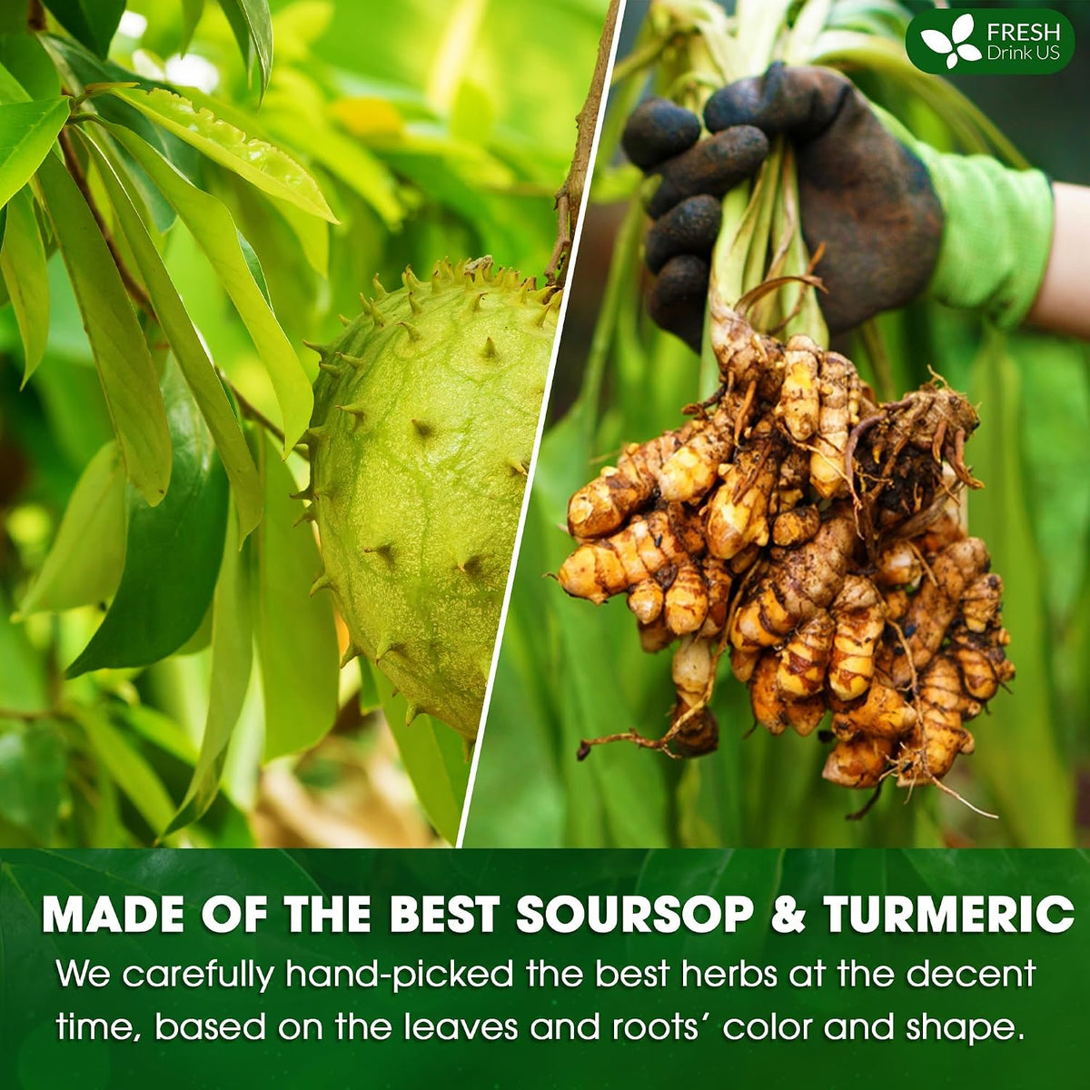 FreshDrinkUS, Premium Soursop Turmeric Tea, 40 Count, Caffeine Free, Vegan