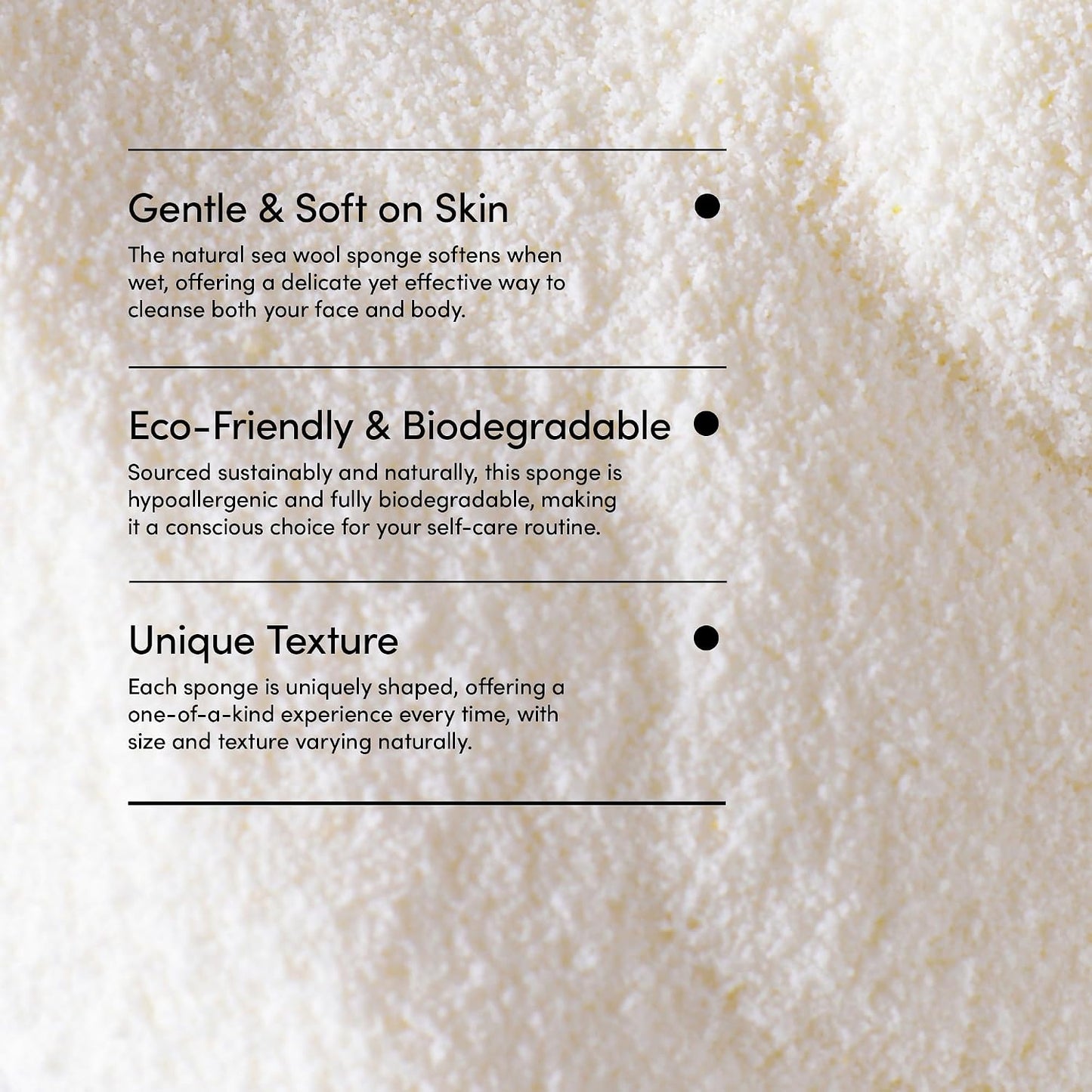 LATHER - Natural Sea Wool Sponge, 5-6" - Organic Exfoliating Body Scrubber - Soft, Gentle Cleansing - Hypoallergenic - All Skin Types - Florida Natural Loofah Sponge - Cruelty Free - Beauty & Skincare