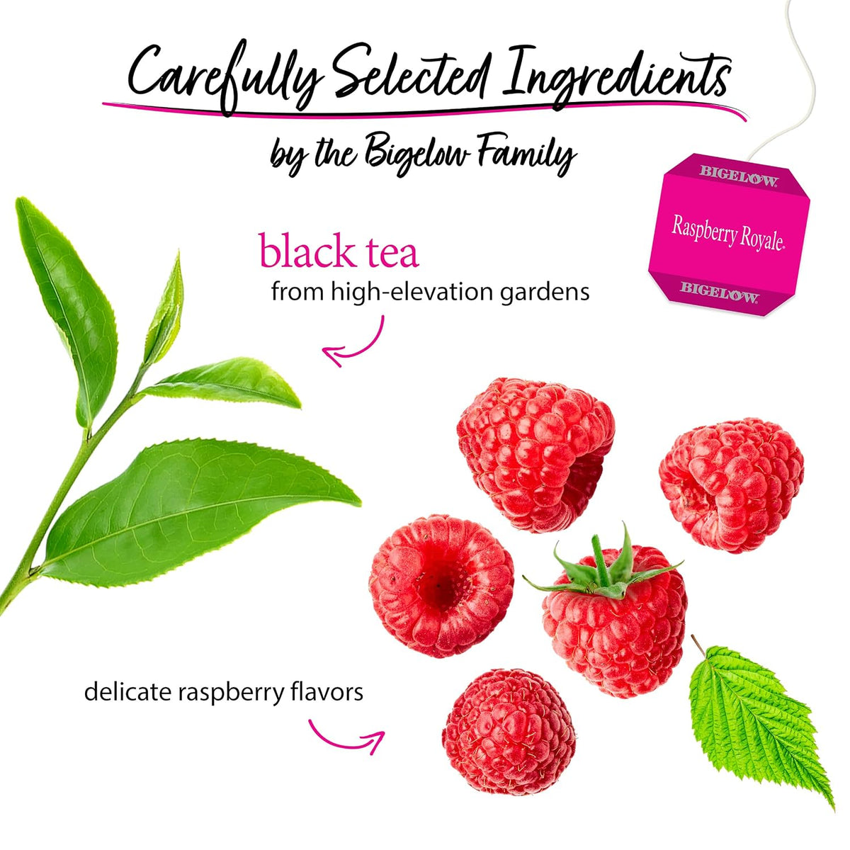 Bigelow Tea Raspberry Royale Black Tea Bags, 20 Count (Pack of 6)