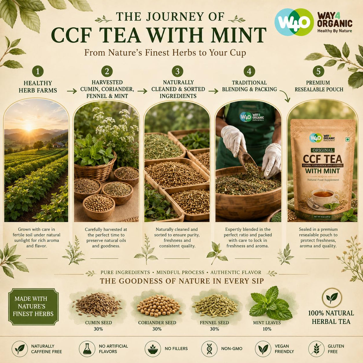 CCF Tea (Cumin, Coriander, Fennel) with Mint - Supports Natural Detoxification 8 Ounces (Pack of 1)