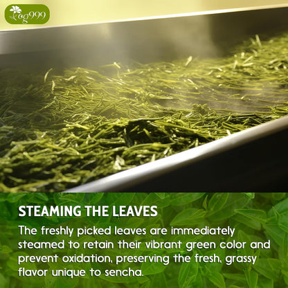 TOG999 Premium Sencha Green Tea Bags, Japanese Sencha Green Tea, 120 Bags