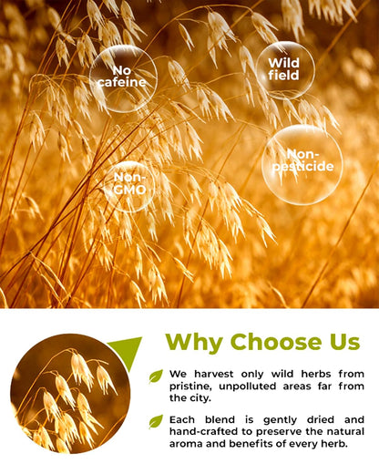 50 Bags Oatstraw Tea Oat Straw Herb Tea (Avena Sativa L.) - 50 Count 1.5g Bags Oat Straw Hierba De Paja De Avena