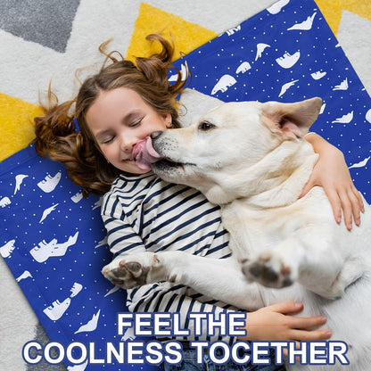 Drydiet Cooling Pad Mat for Bed Cooling Mattress Pad Gel for Sleep, Summer Hot Flashes, Adult, Pets, No Water or Electricity Required(Plain,48 x 28 Inch,Light Blue)
