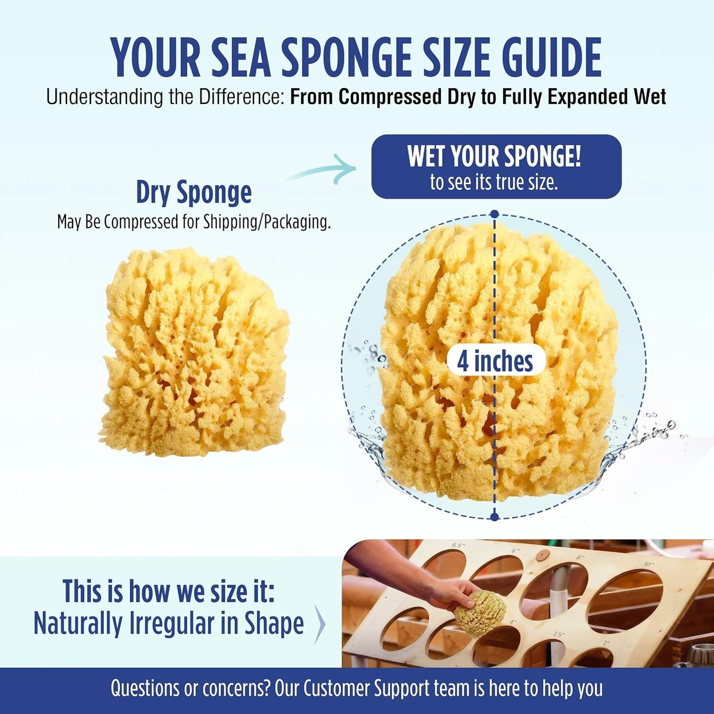 Baby Buddy Natural Wool Sea Sponge, Newborn Bath Time Essential, Ultra Soft for Delicate Skin, Hypoallergenic and Biodegradable, 2 Pack