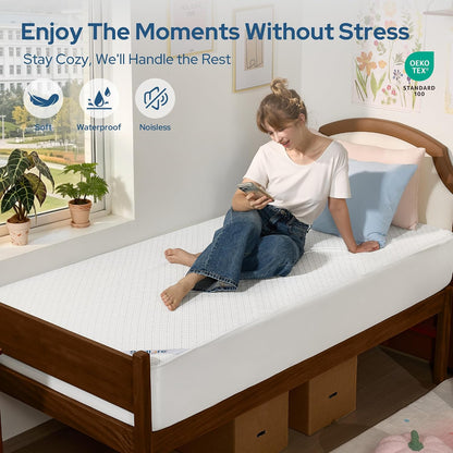 BEDLORE Queen Mattress Protector, Waterproof Noiseless Mattress Cover with Deep Pocket for 6-18 inches Mattress, Soft Breathable Mattress Pad Machine Washable (Dark Gray)