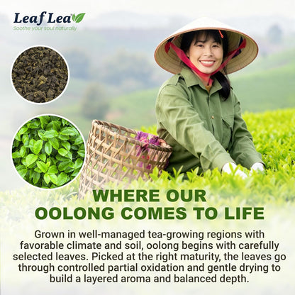 LeafLea Oolong Tea Bags, Post-Meal Comfort & Daily Ease, 80 Count