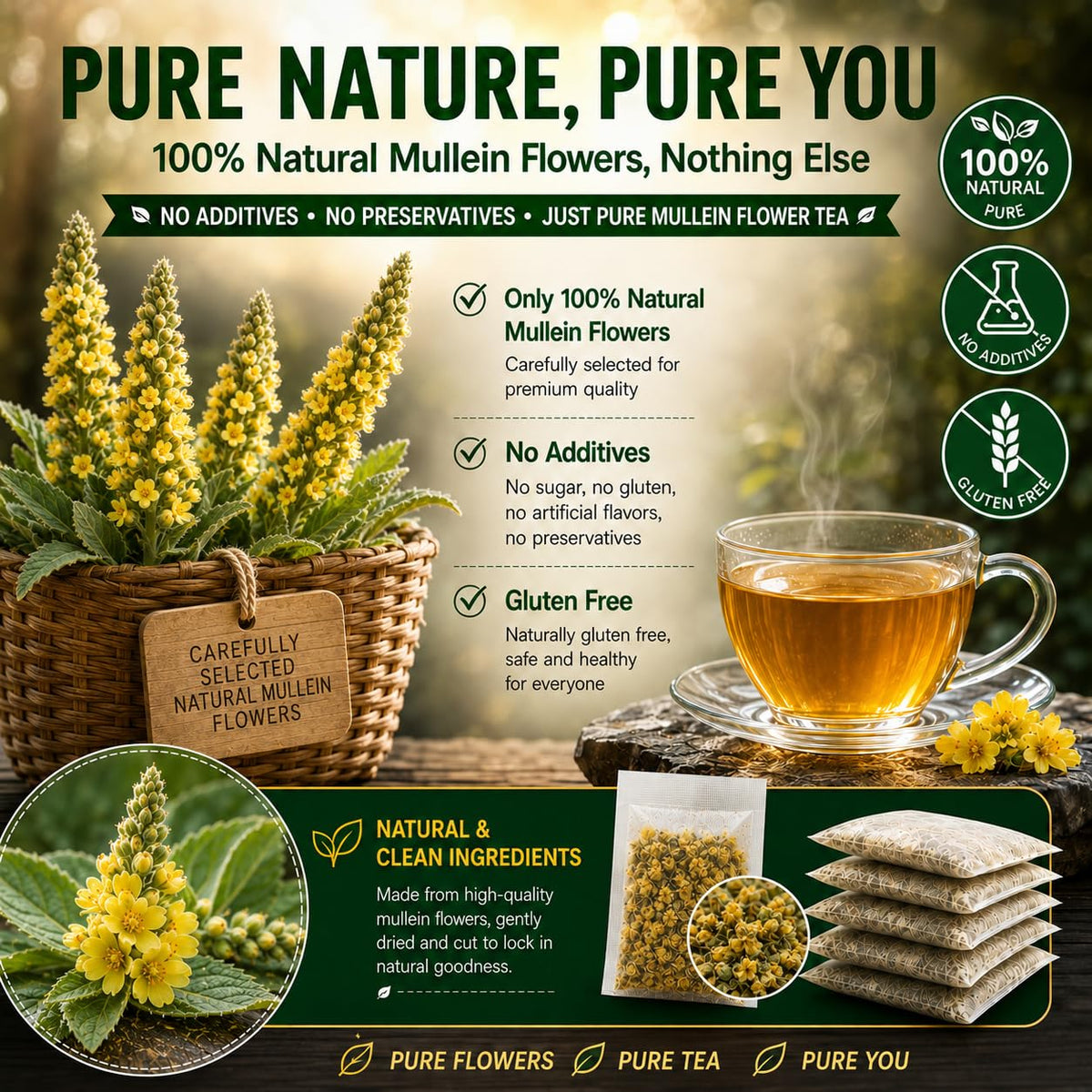 WOTIHA 65 Count Value Pack Premium Mullein Leaf Tea Bags - 100% Pure Natural Herbal tea, Lungs Cleanse & Respiratory Support, Caffeine-Free, No Additives, Non-GMO