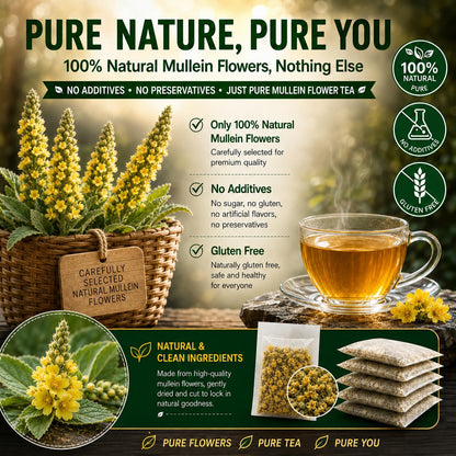 WOTIHA 65 Count Value Pack Premium Mullein Leaf Tea Bags - 100% Pure Natural Herbal tea, Lungs Cleanse & Respiratory Support, Caffeine-Free, No Additives, Non-GMO