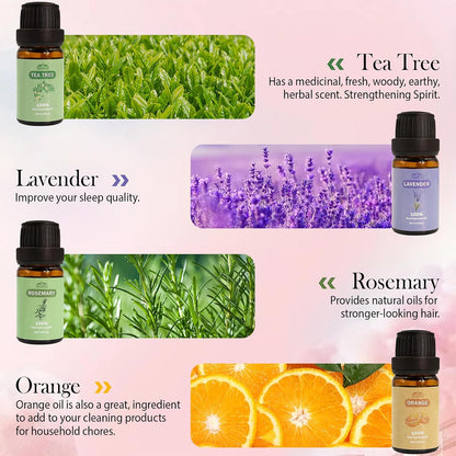 Fragrance Essential Oils Set, Essential Oils for Diffuser, for Home, Skin, Candle & Soap Making-Tea Tree, Lavender, Peppermint, Rose and More, with Gift Card for Friend, Teacher, Mom(20×5ml