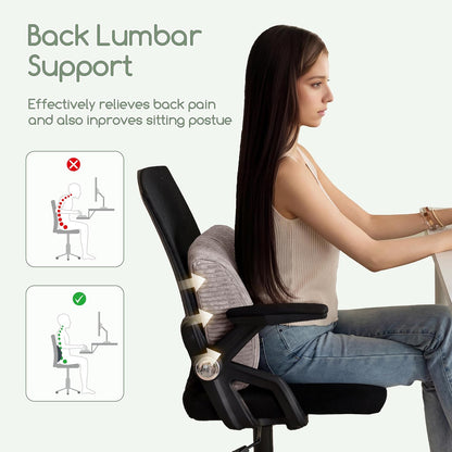 HIGOGOGO Lumbar Support Pillow for Recliner Chair/Accent Chair/Couch, Memory Foam Back Support Cushion for Elderly, Recliner Cushions for Back Rest, Pain Relief, Reading, Washable Cover, Dark Grey