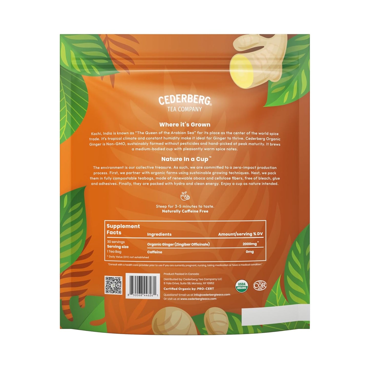Organic Dandelion Root Tea-100 Tea Bags | Organic Herbal Tea | Eco-Friendly Tea Bags | Non-GMO Caffeine Free Tea