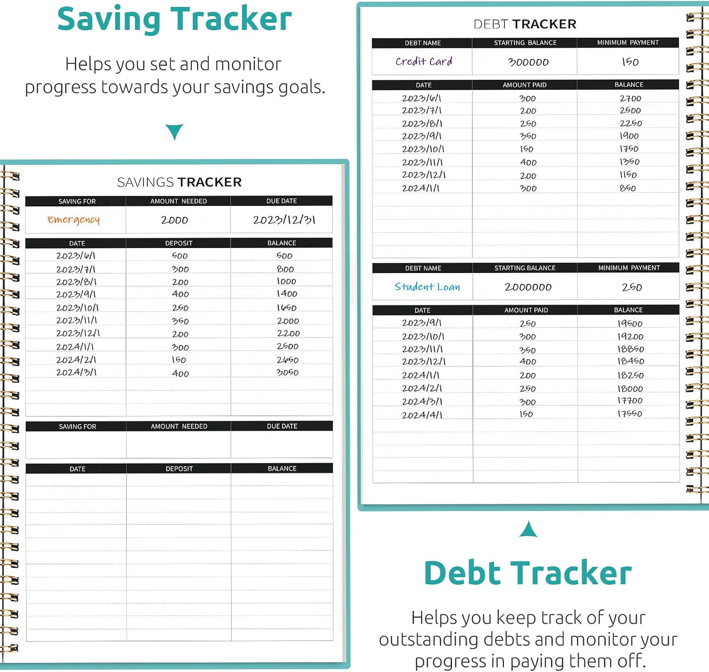 Budget Planner - Monthly Budget Book with Expense Tracker Notebook, Undated Bill Organizer & Finance Planner to Take Control of Your Money, Account Book to Manage Your Finances-Pink