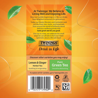 Twinings Orange & Cinnamon Spice Herbal Tea Individually Wrapped Bags, 20 Count (Pack of 1), Naturally Caffeine-Free, Enjoy Hot or Iced, 20 Teabags