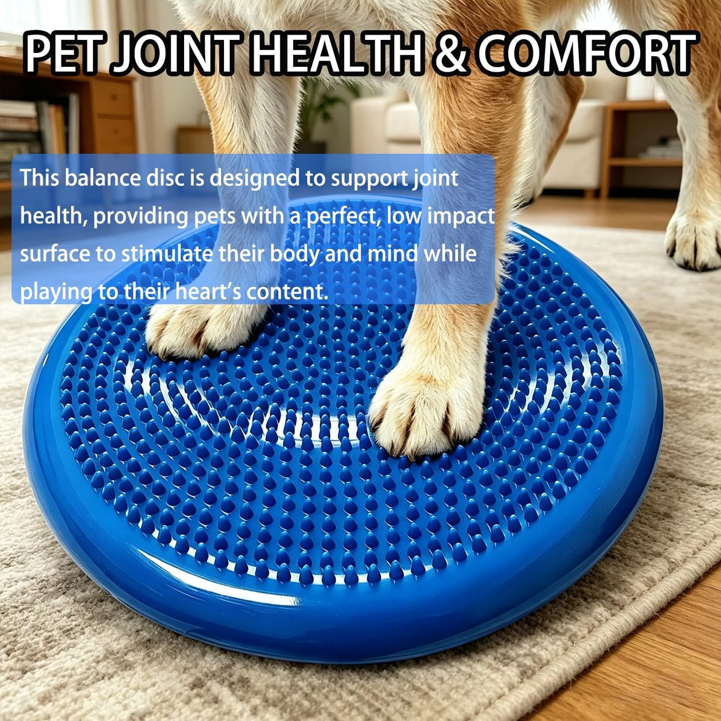 Wobble Cushion Balance Disc, Wiggle Seat for Sensory Youth & Adults, Balance Disk with Inflation Pump for Fitness, Core Strength, Physical Therapy, Posture Improvement