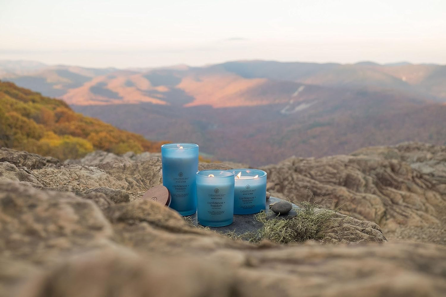 Chesapeake Bay Candle Scented Candle Serenity + Calm (Lavender Thyme) Coffee Table Home Décor