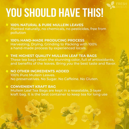 FreshDrinkUS, Premium Mullein Leaf Tea, 40 Count, Pure, Caffeine Free